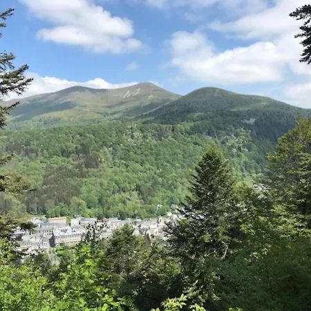 Mont-dore, 2 Pièces, 4 Personnes - Fr-1-608-62